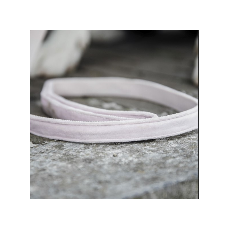 Laisse Velvet Velours Kentucky