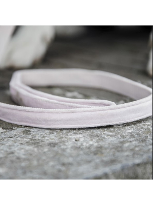 Laisse Velvet Velours Kentucky