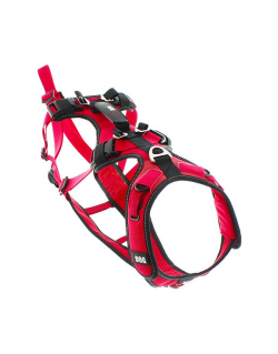 Harnais confort TREK I-dog