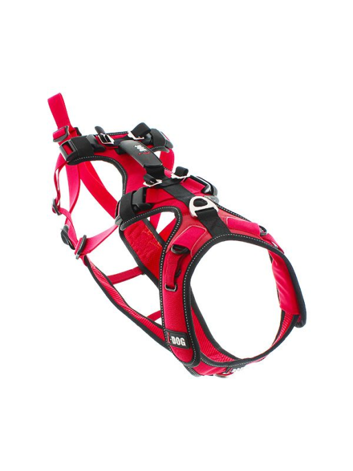 Harnais confort TREK I-dog Harnais confort TREK I-dog
