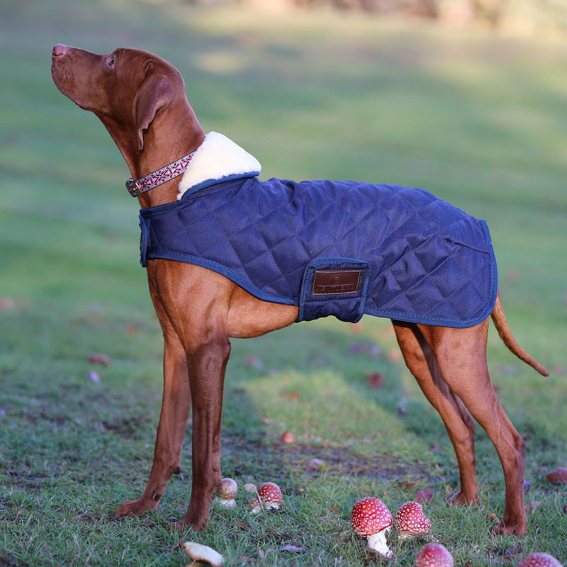 Couverture chien matelassée Kentucky