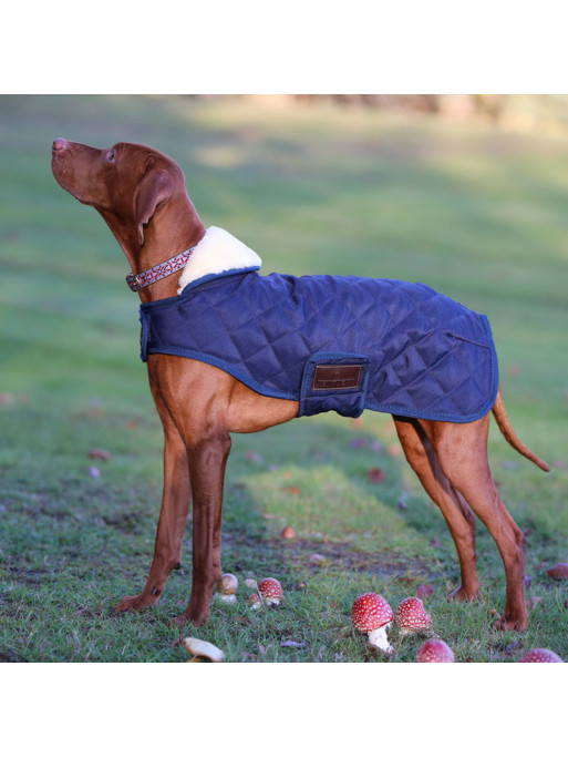 Couverture chien matelassée Kentucky