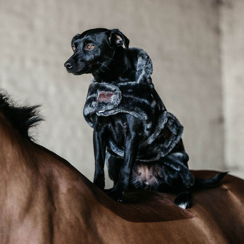 Couverture chien Fake Fur Kentucky