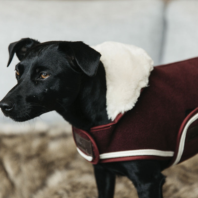 Couverture chien Heavy Fleece Kentucky