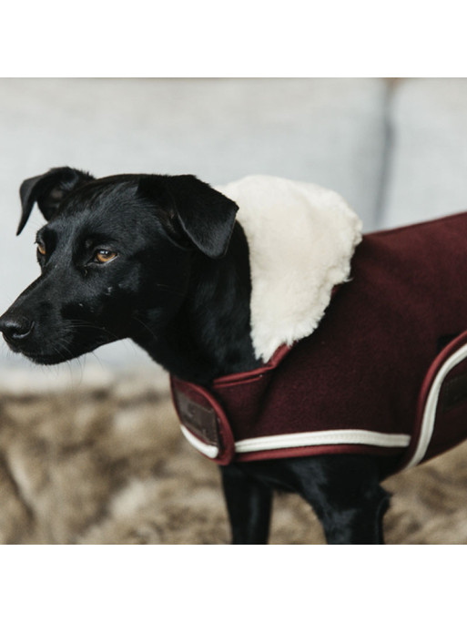 Couverture chien Heavy Fleece Kentucky