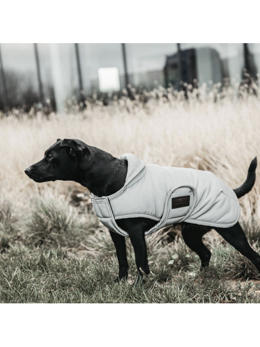 Couverture chien réflechissante imperméable 150g Kentucky Couverture chien réflechissante imperméable 150g Kentucky