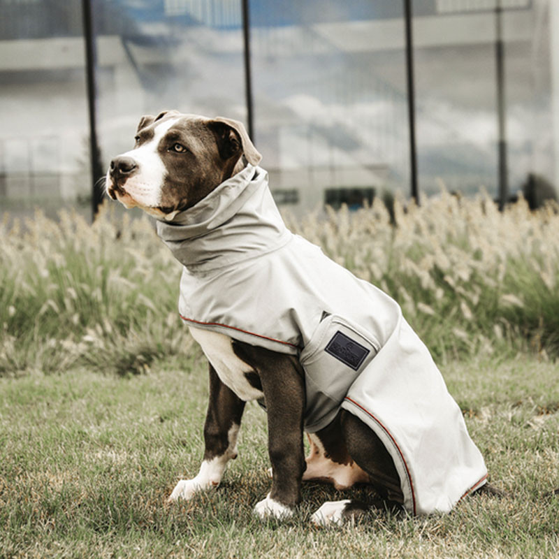 Couverture de pluie chien Kentucky