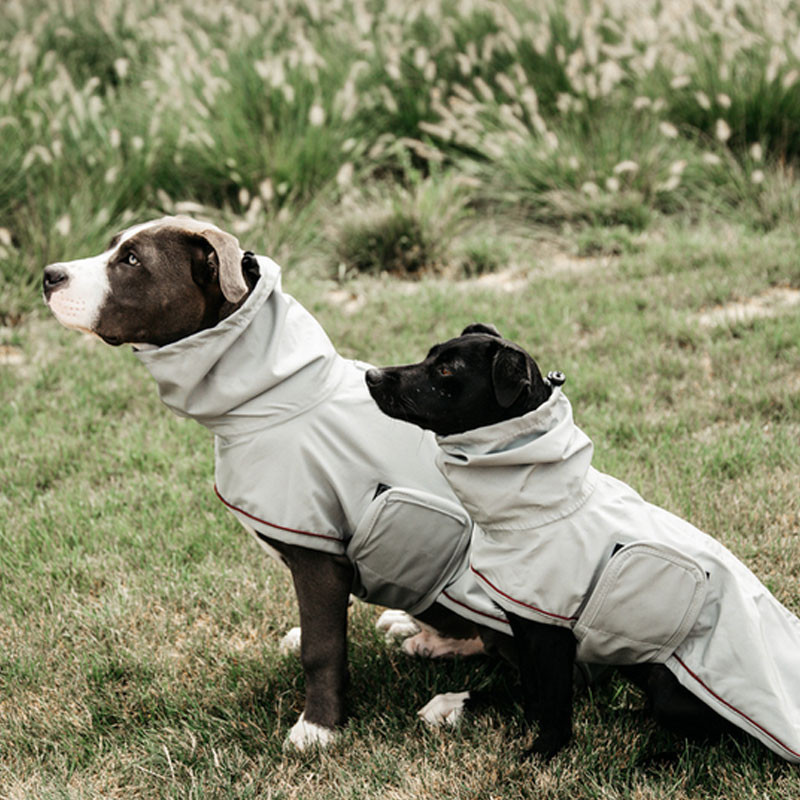 Couverture de pluie chien Kentucky