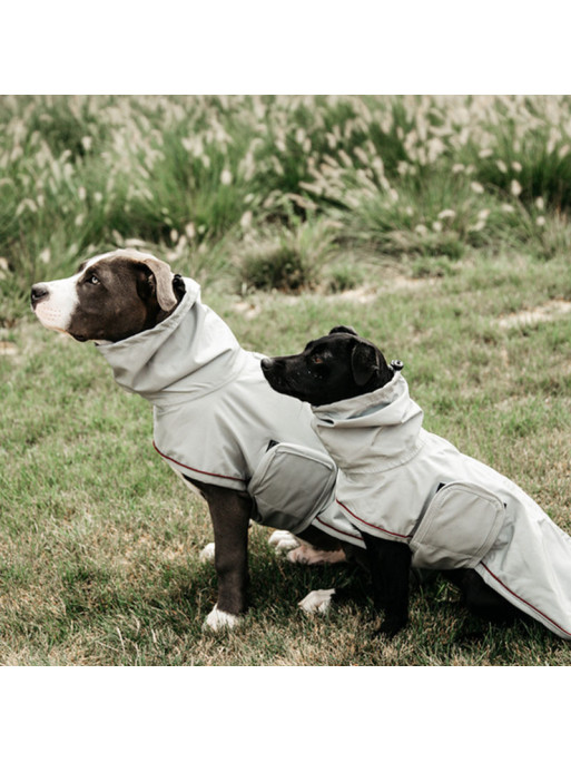 Couverture de pluie chien Kentucky