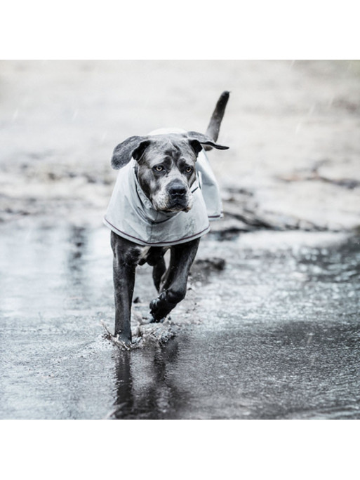 Couverture de pluie chien Kentucky