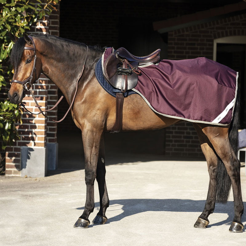 Couvre-reins Amigo Competition Sheet Ripstop Horseware