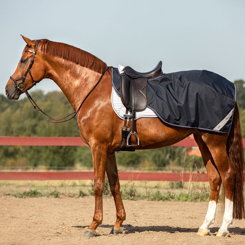 Couvre-reins Amigo Competition Sheet Ripstop Horseware