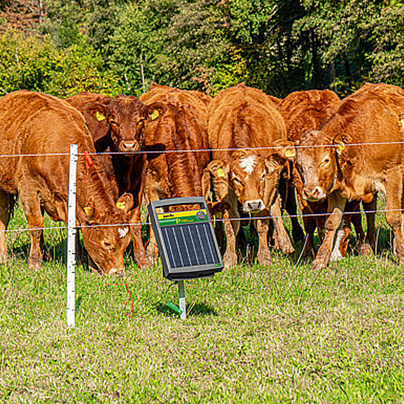 Électrificateur avec module solaire P140 Solar Patura