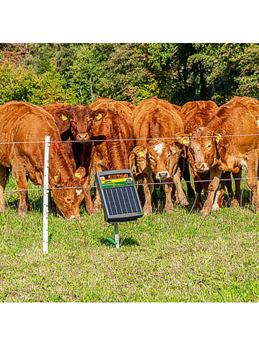 Électrificateur avec module solaire P140 Solar Patura