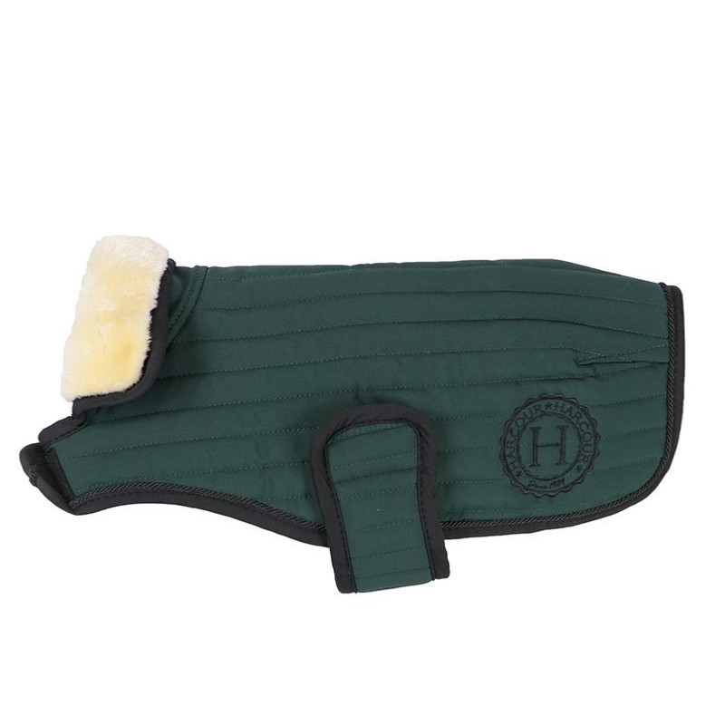 Couverture Code pour Chien Winter 21 Harcour