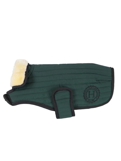 Couverture Code pour Chien Winter 21 Harcour