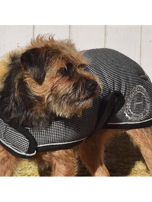 Couverture Code pour Chien Winter 21 Harcour