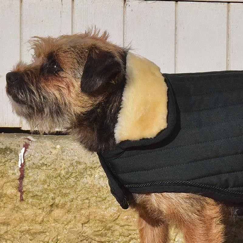 Couverture Code pour Chien Winter 21 Harcour