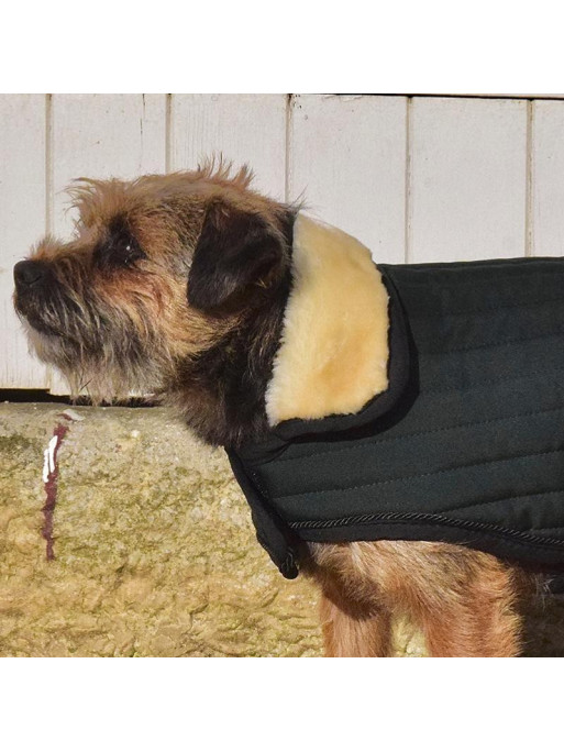 Couverture Code pour Chien Winter 21 Harcour