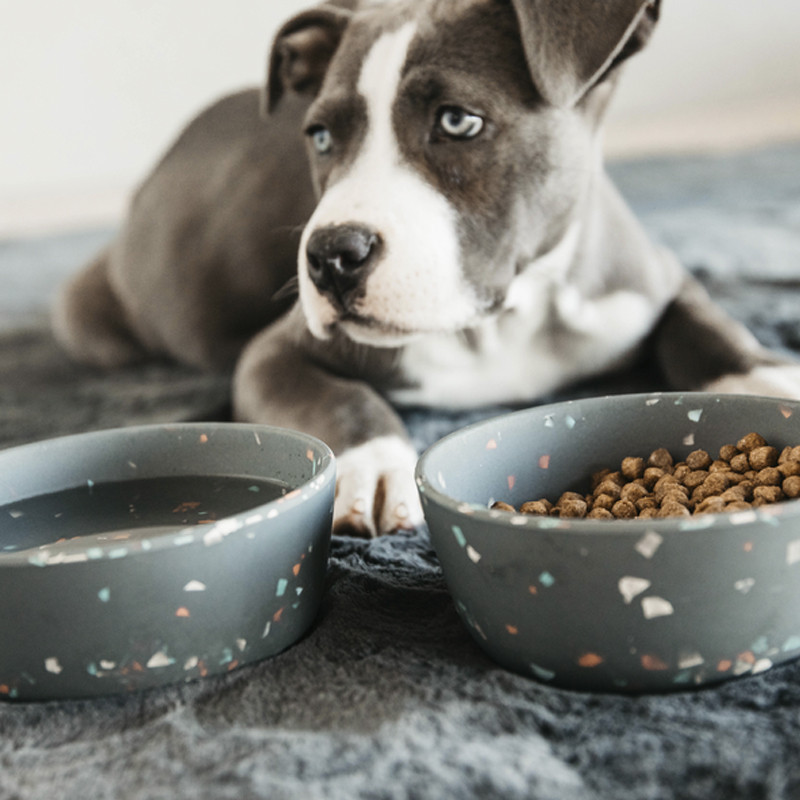 Gamelle pour chien Bamboo Terrazzo Kentucky