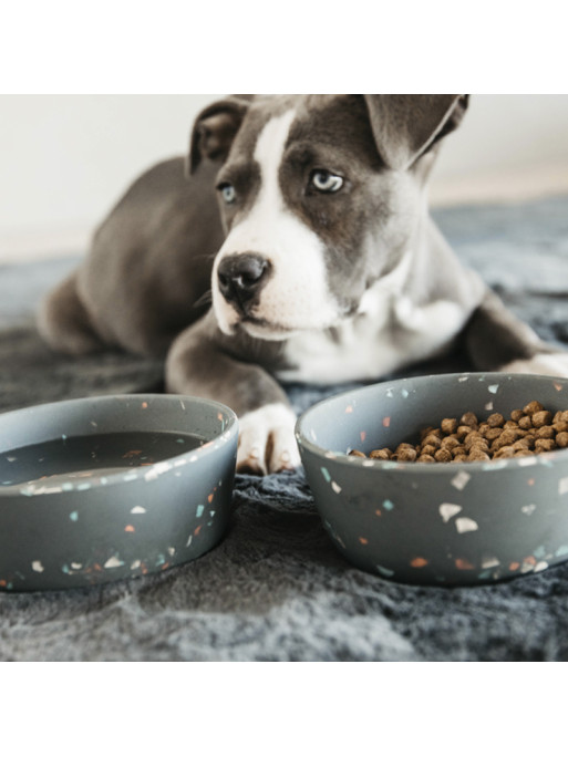 Gamelle pour chien Bamboo Terrazzo Kentucky Gamelle pour chien Bamboo Terrazzo Kentucky