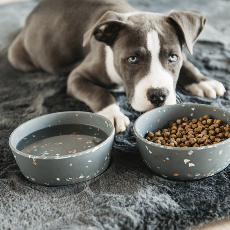 Gamelle pour chien Bamboo Terrazzo Kentucky