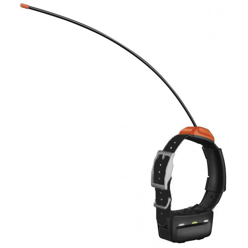 Collier T5 repérage Garmin Collier T5 repérage Garmin