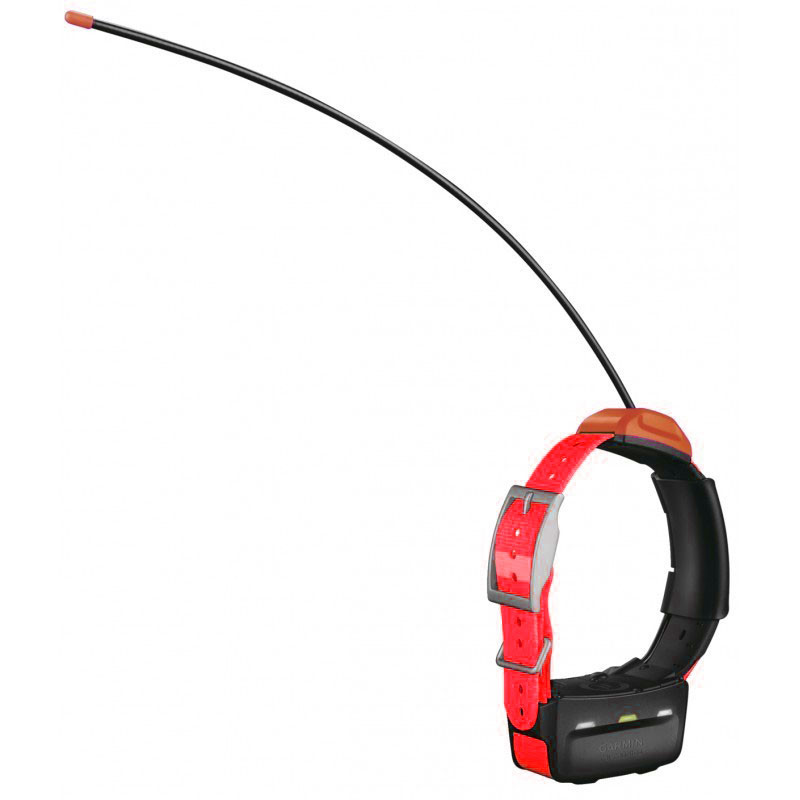 Collier T5 repérage Garmin Collier T5 repérage Garmin