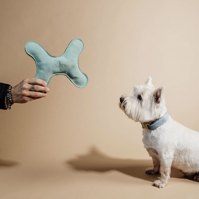 Jouet chien os Kentucky emeraude 2