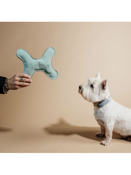 Jouet chien os Kentucky emeraude 2