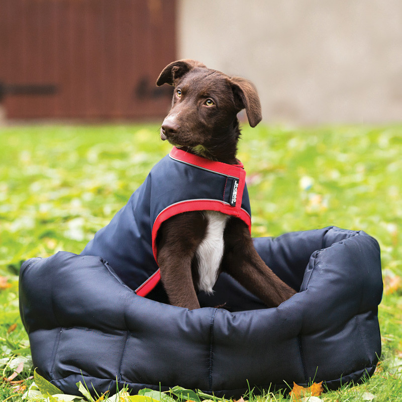 Couverture imperméable pour chien Rambo Dog Rug Horseware - RRAA65-BR00-SM