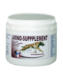 Complément Amino Supplement 300g Rekor