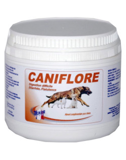 Complément alimentaire pour chien Caniflore Rekor