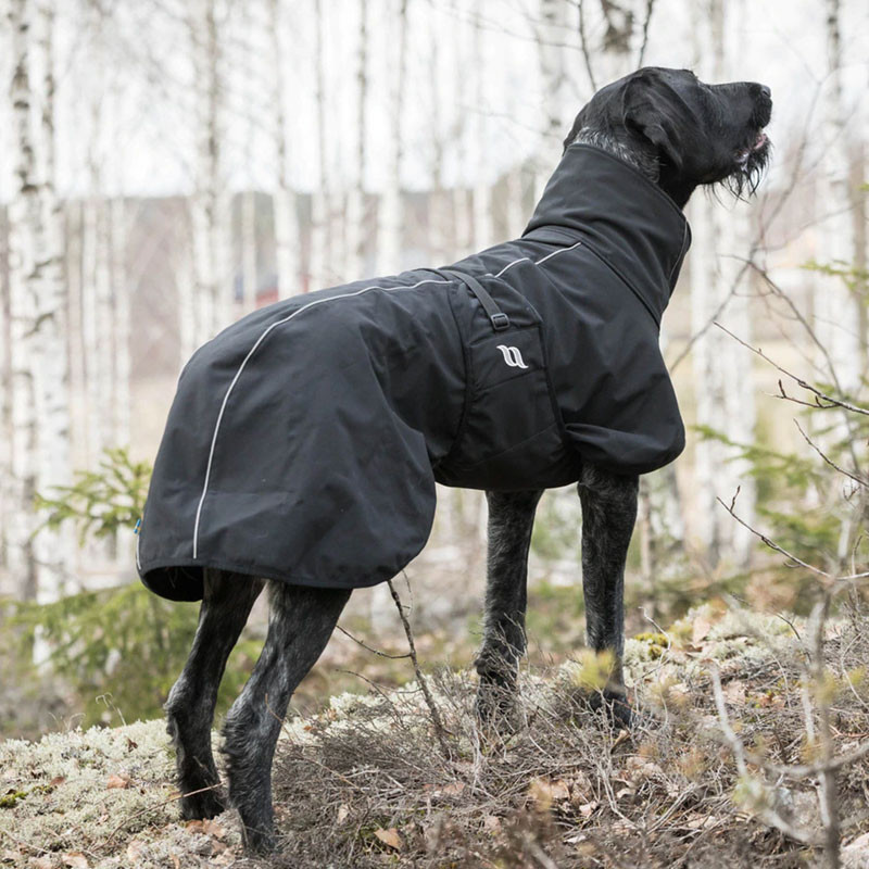 Manteau chien Nella Back On Track noir ambiance dos