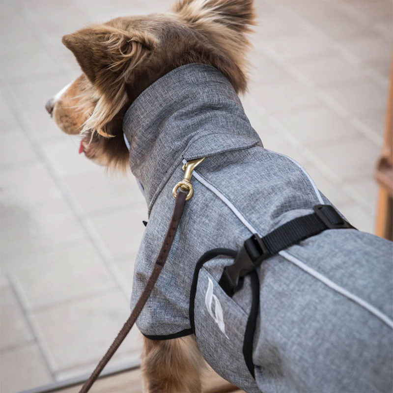 Manteau chien Nella Back On Track gris ambiance dos