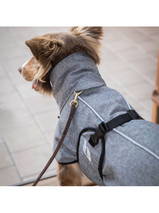 Manteau chien Nella Back On Track gris ambiance dos