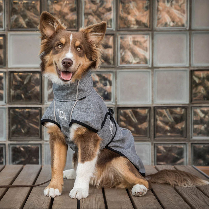 Manteau chien Nella Back On Track gris ambiance