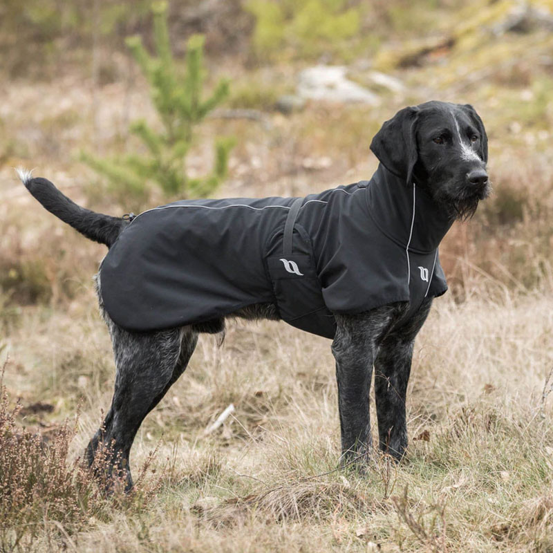 manteau chien noir