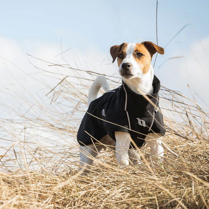 Manteau chien bark Back On Track noir ambiance 2