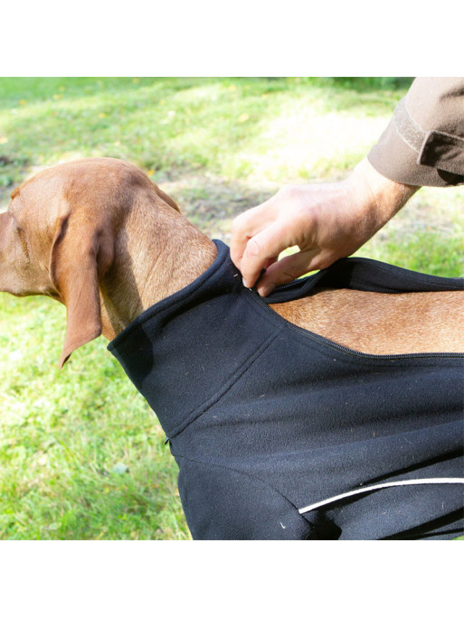 Pull chien Cassie Back On Track détail