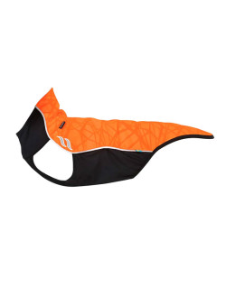 Pull chien Eddie haute visibilité Back On Track
