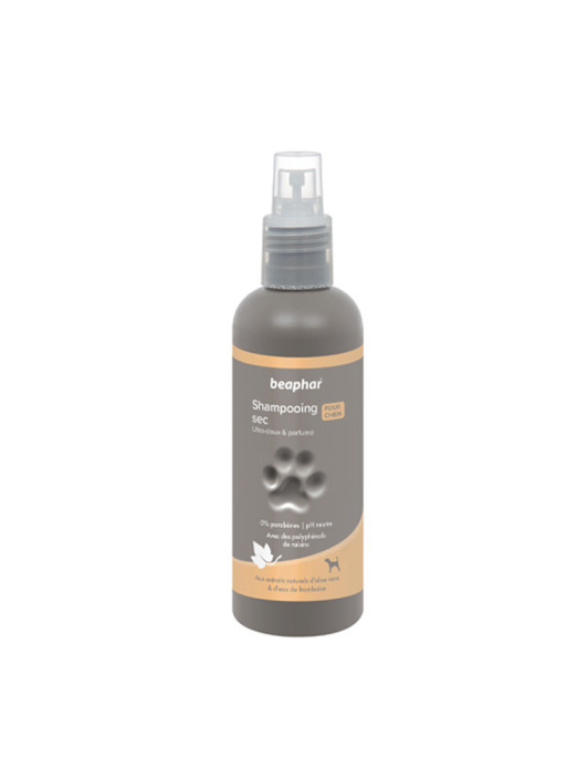 Shampoing Sec Premium pour chien Beaphar