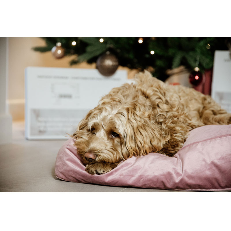 Matelas pour chien Velvet Kentucky rose