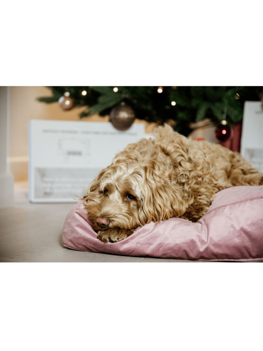 Matelas pour chien Velvet Kentucky rose