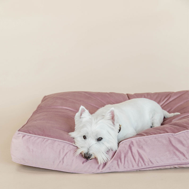 Matelas pour chien Velvet Kentucky rose 4