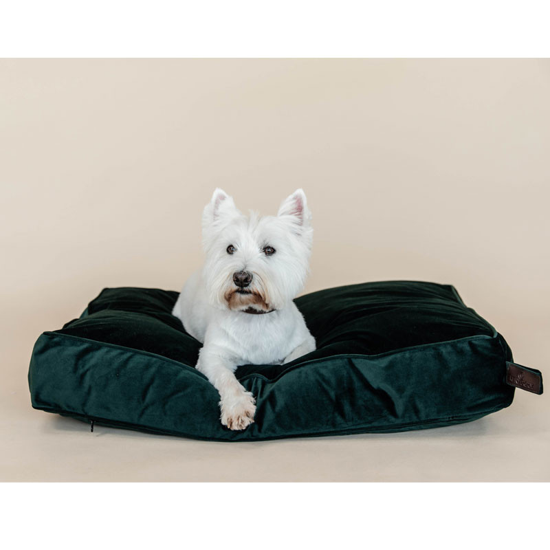 Matelas pour chien Velvet Kentucky vert 2