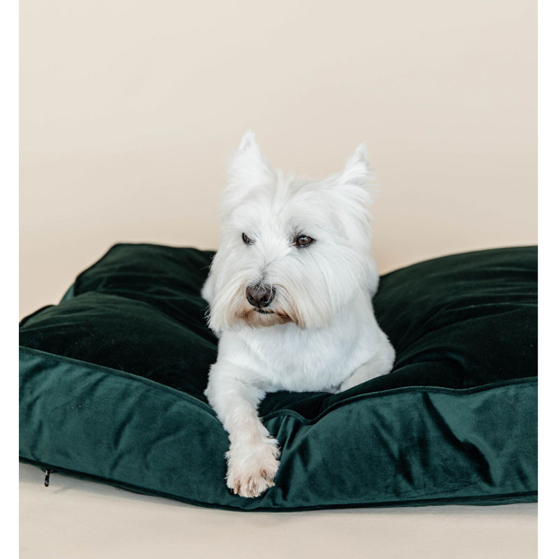 Matelas pour chien Velvet Kentucky vert 1