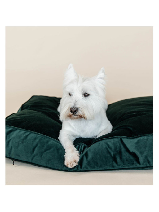 Matelas pour chien Velvet Kentucky vert 1