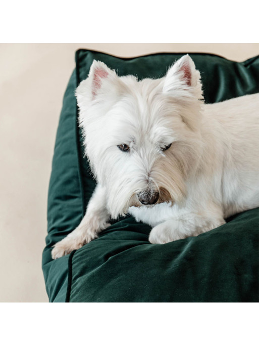 Matelas pour chien Velvet Kentucky vert 3