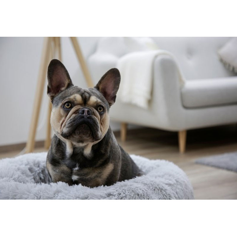 Lit pour chien Fluffy 76x19 cm Kerbl 2